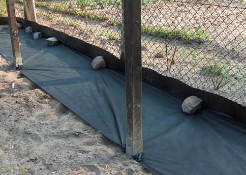 Probleme mit dem Nachbarn - Rasen - Mein schöner Garten Forum