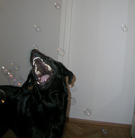 b8t8acr901vuoooic.jpg