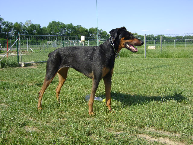b9b80bok7w8xkoh5n.jpg