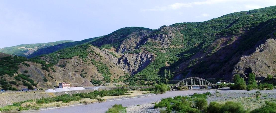 FORUME SERBEST