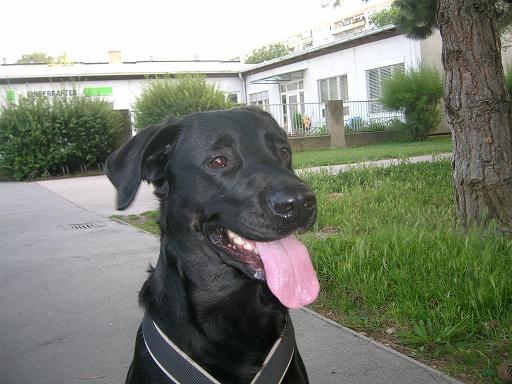 ba00s58s1i6yxpv71.jpg