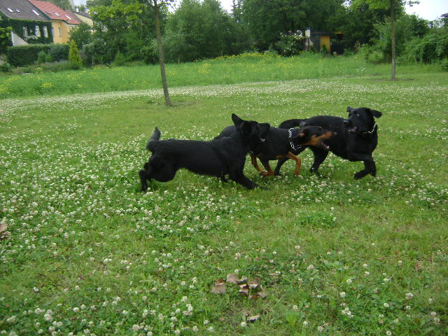 baar0f91lso6jmzaa.jpg
