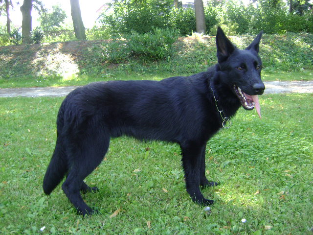 bapbyekuqg1bhf51p.jpg