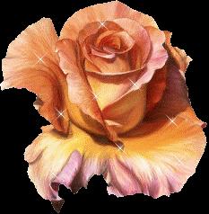 www.resimli-siirler.com www.resimli-siirler.com