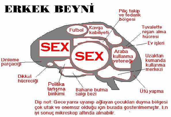 bb30dysykegn5urnh.jpg