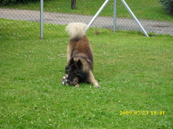 Bild