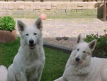 Nika & Noa