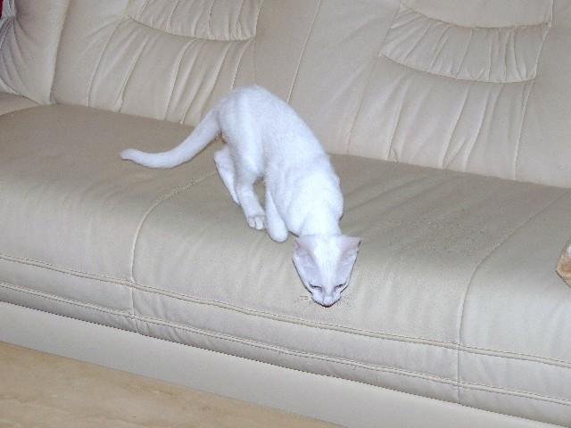 bbclbhxt8jm7htpeq.jpg