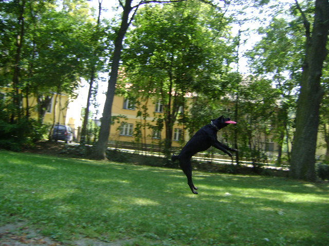 bbep03zno6wi3nut4.jpg