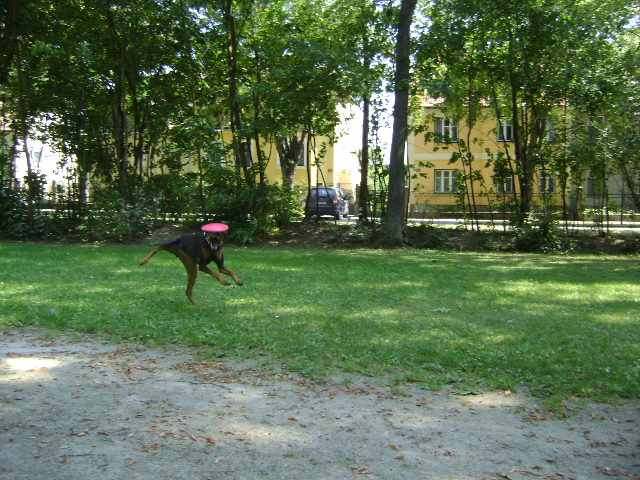 bbep1dtwo7po72jlk.jpg