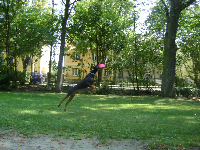 bbep1shd78ctp2lko.jpg
