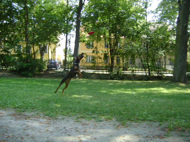 bbep235cu5iw18zi0.jpg