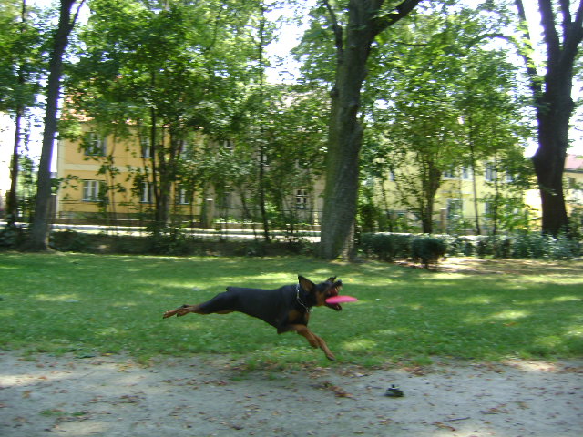 bbep330qky9i01u48.jpg