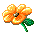 Blume1