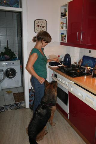 bc4n9s48934p0qztl.jpg