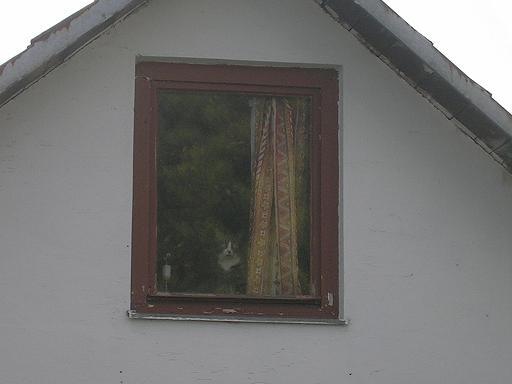 bcevqnzooweksazv8.jpg