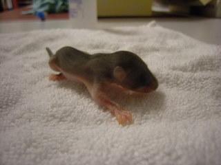 thread noch kein baby sehen thread noch kein baby sehen