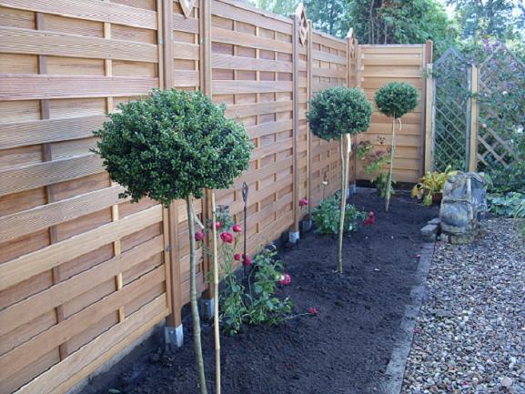 Clerotiker - Oktober 2009 - Page 18 - Mein schöner Garten Forum