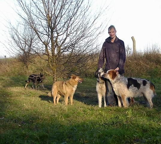 Bild