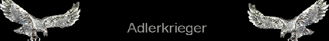 Larpverein Roßtal