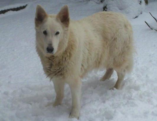 sneeuw1