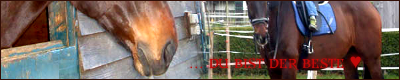 Eingefügtes Bild