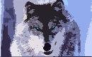 Avatar von Wolfman