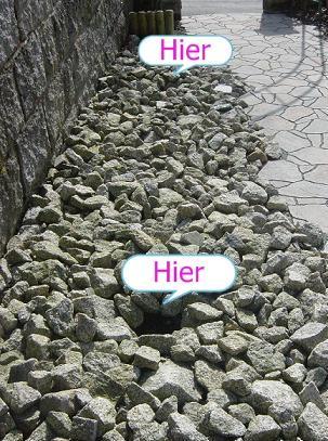 Steinbeet - was pflanze ich dazu??? - Mein schöner Garten ...