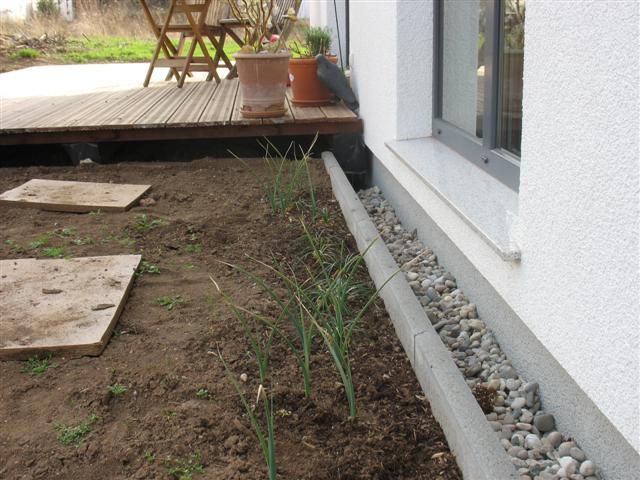 Ideen gesucht für folgenden Bereich - Mein schöner Garten Forum