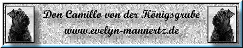 Don Camillo