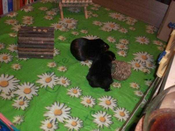 Bild