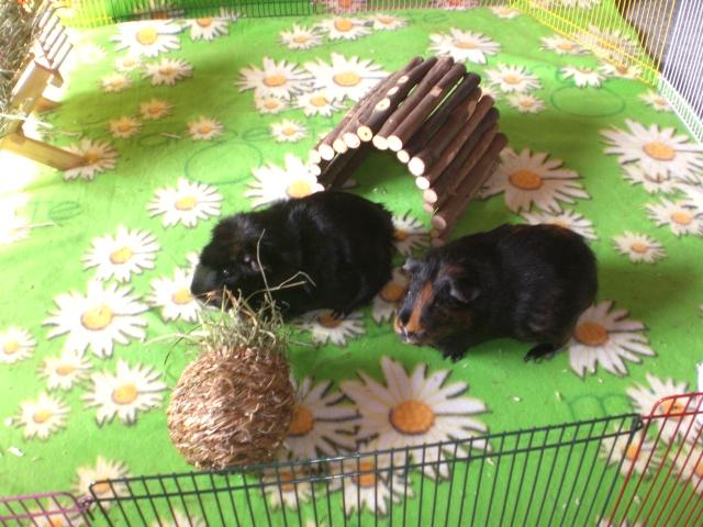Bild