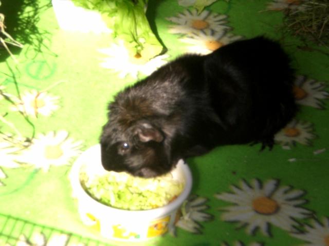 Bild