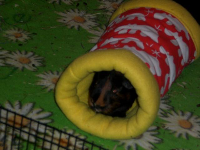 Bild