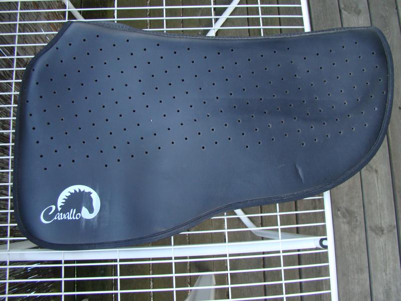 bjilhfvp49lmp0k64.jpg