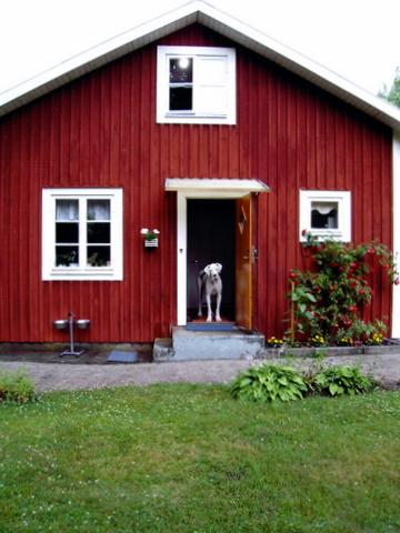 Einstein in Schweden Einstein in Schweden