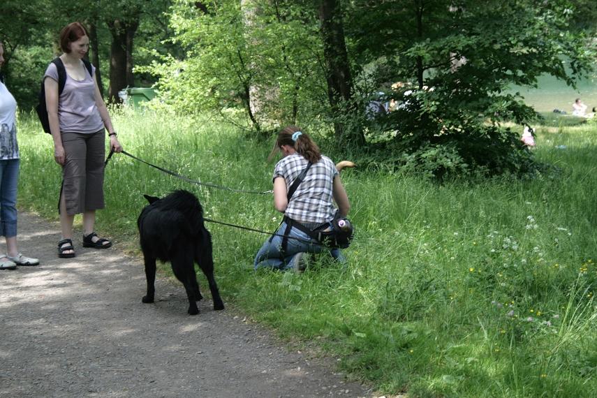 Eingefügtes Bild