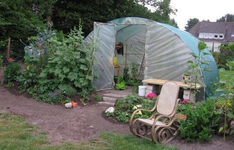 Paprika geht ein - Hausgarten.net