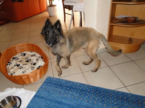 Bild