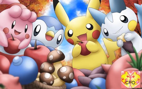 Crypto Pokémon Organisation
