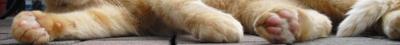 Eingef�gtes Bild