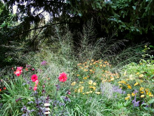 Welche Gräser Im Garten Pflanzen Mein Schöner Forum