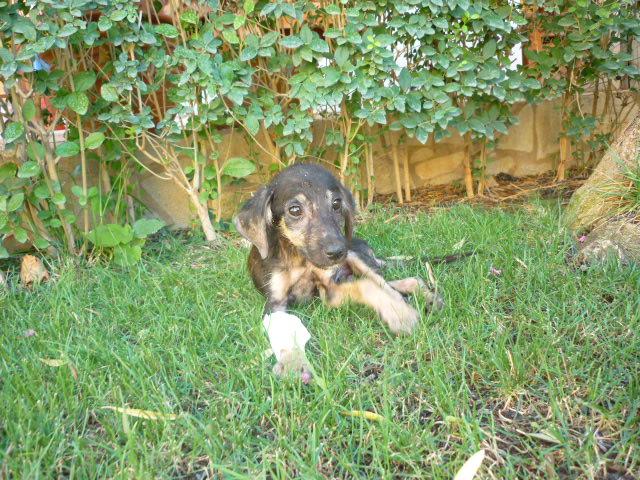 Bild