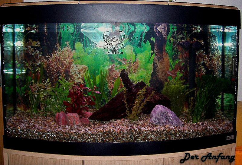 (erledigt)Logo für Aquarium-HP Bo5g5d00bk9nr01mn
