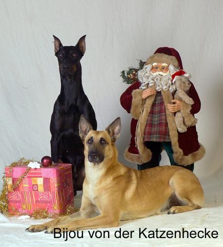 Bild