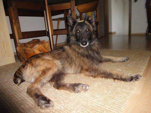 Bild
