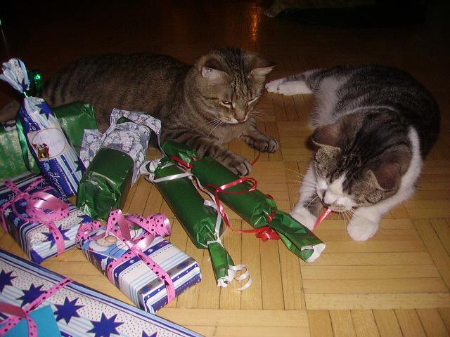 bpippvuawbs1mew1v.jpg