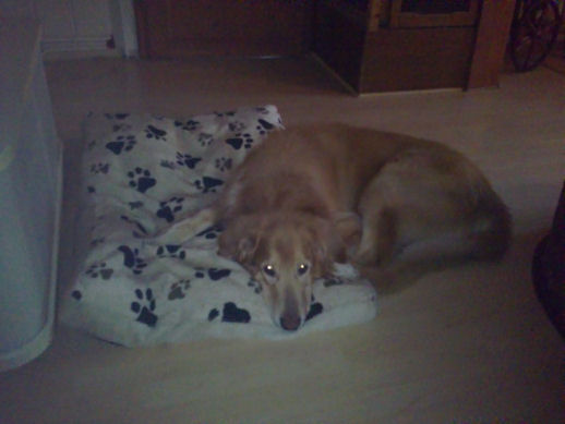 [Bild: bpvwgz2enbugpr69m.bmp]