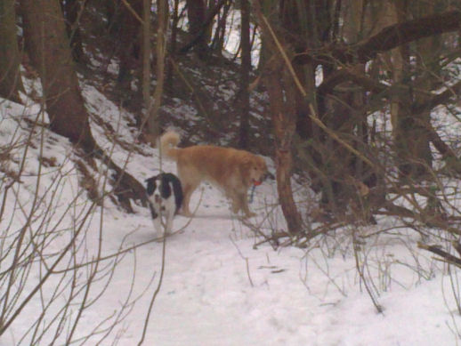 [Bild: bpwvs2p67wlwxy68m.bmp]