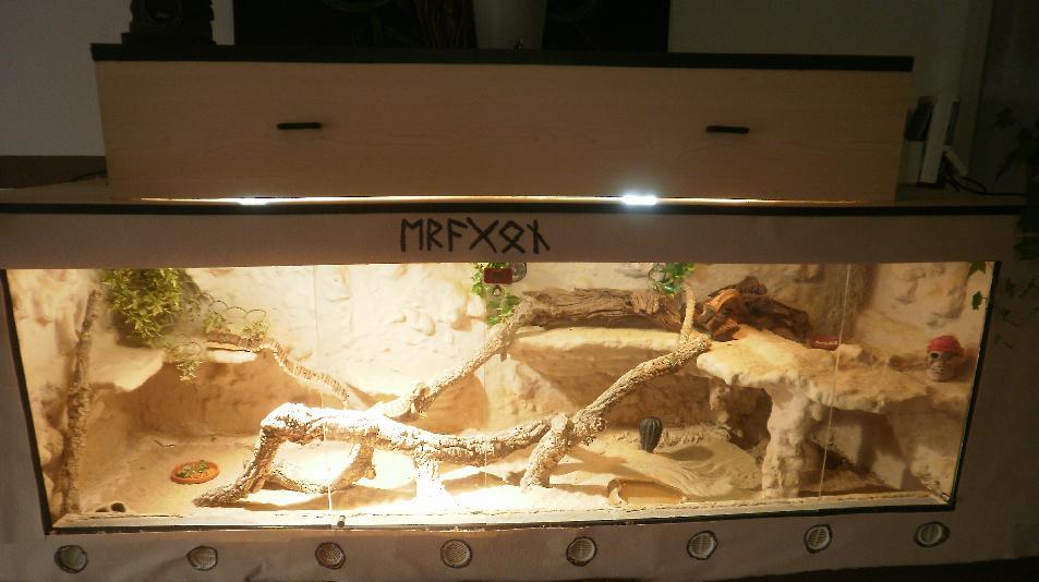 Hier mal mein Terrarium - Bartagame, Bartagamen & Terrarium Forum